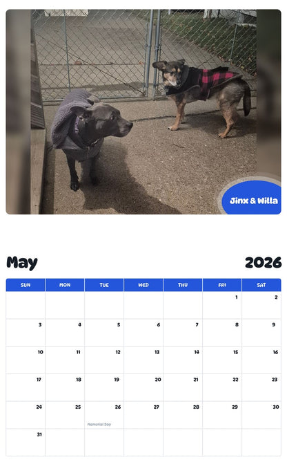 2026 - 2027 Jinx & Willa - Pawidols Pet Calendar