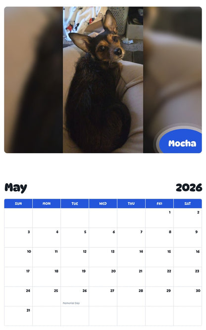 2026 - 2027 Mocha - Pawidols Pet Calendar
