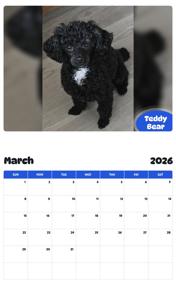 November 2025 - October 2026 Teddy Bear - Pawidols Pet Calendar