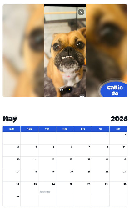2026 - 2027 Callie Jo - Pawidols Pet Calendar