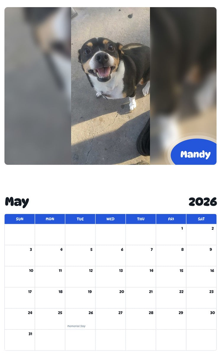 2026 - 2027 Mandy - Pawidols Pet Calendar