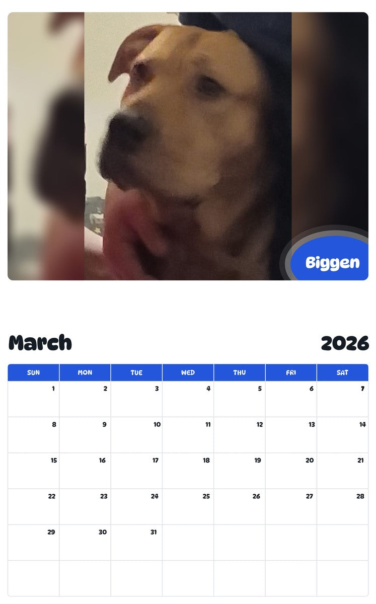 November 2025 - October 2026 Biggen - Pawidols Pet Calendar