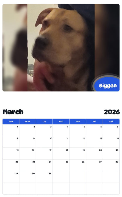 November 2025 - October 2026 Biggen - Pawidols Pet Calendar