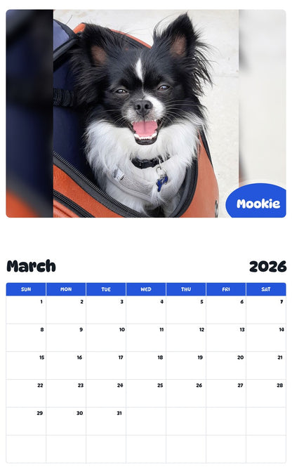 November 2025 - October 2026 Mookie - Pawidols Pet Calendar