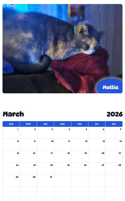 November 2025 - October 2026 Mollie - Pawidols Pet Calendar