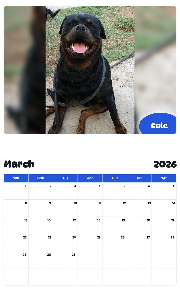 November 2025 - October 2026 Cole - Pawidols Pet Calendar