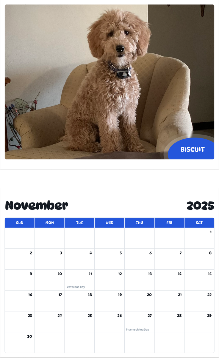 July 2025 - June 2026 Biscuit - Pawidols Pet Calendar