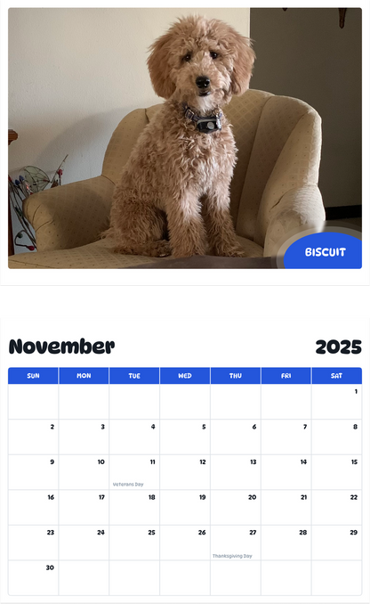 July 2025 - June 2026 Biscuit - Pawidols Pet Calendar