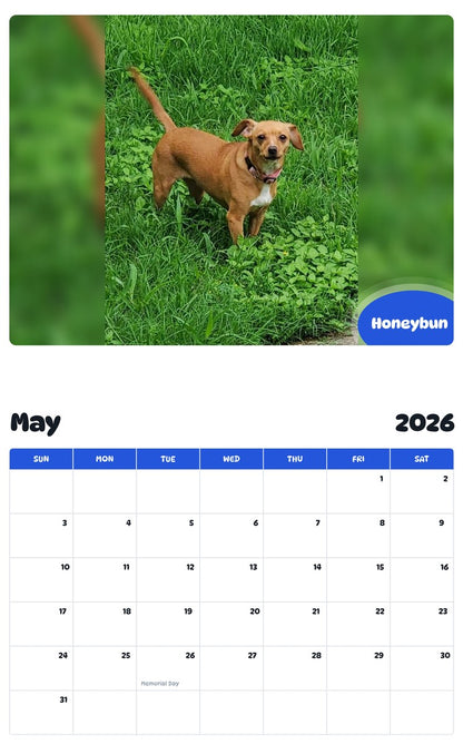 2026 - 2027 Honeybun - Pawidols Pet Calendar
