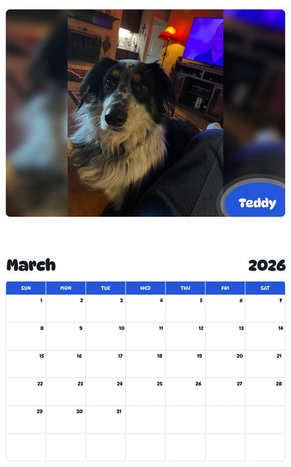 November 2025 - October 2026 Teddy - Pawidols Pet Calendar
