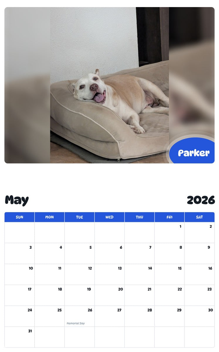 2026 - 2027 Parker - Pawidols Pet Calendar