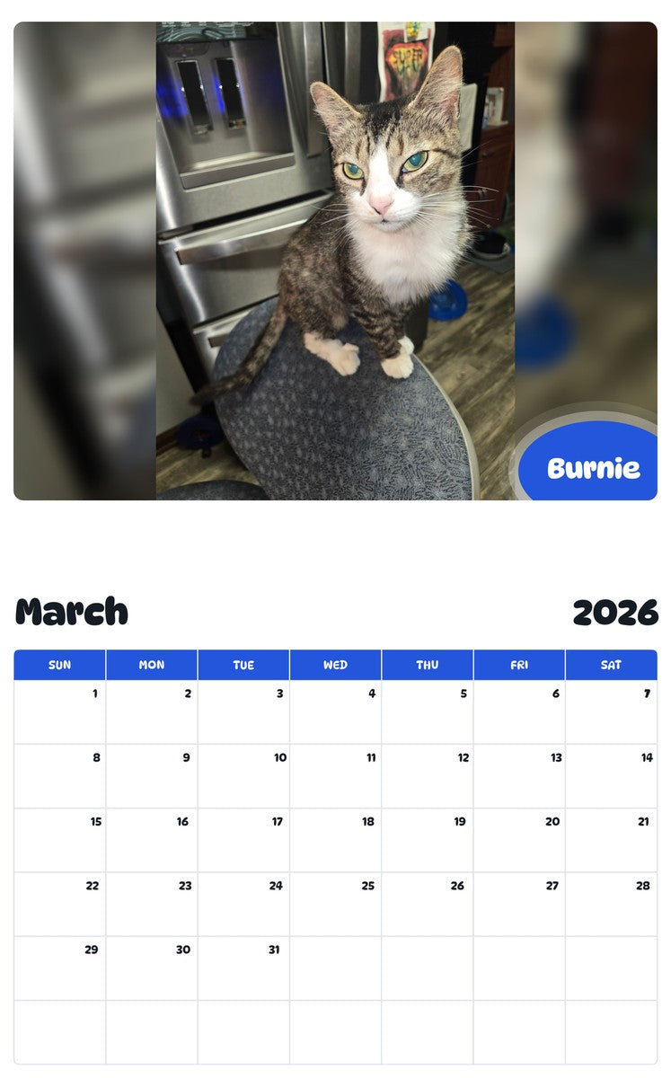 November 2025 - October 2026 Burnie - Pawidols Pet Calendar