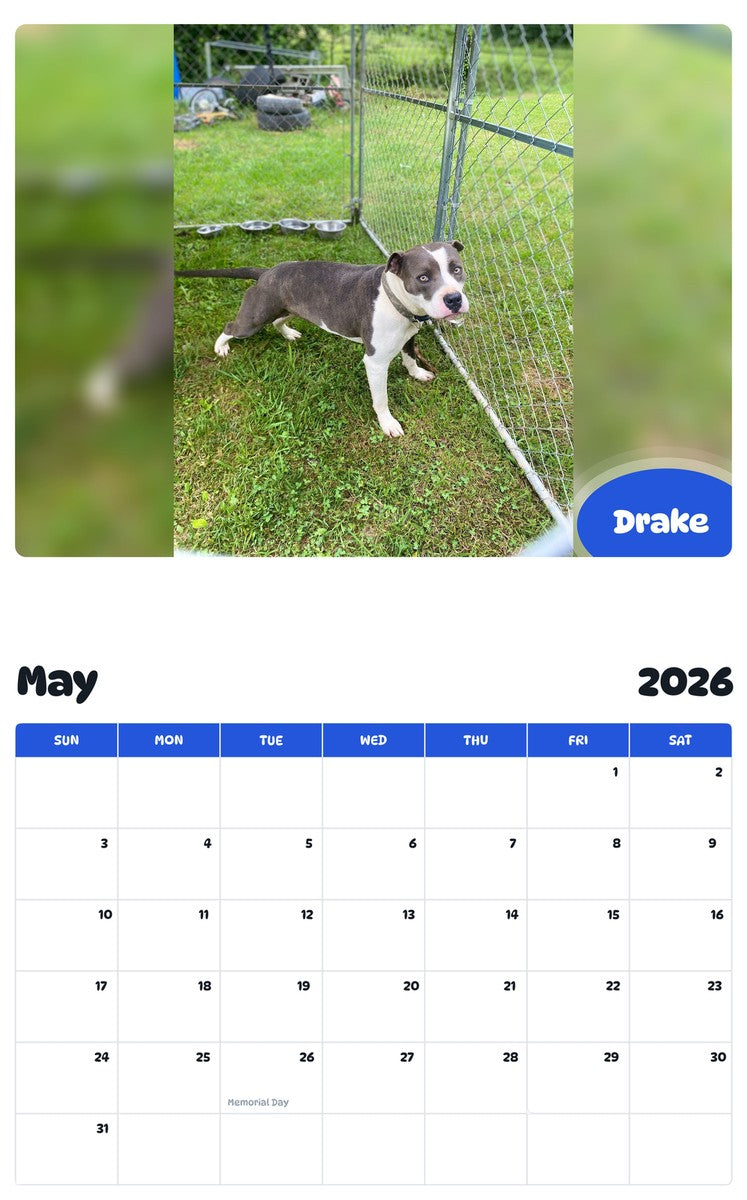 2026 - 2027 Drake - Pawidols Pet Calendar