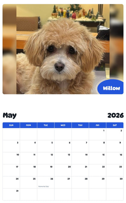 2026 - 2027 Willow - Pawidols Pet Calendar
