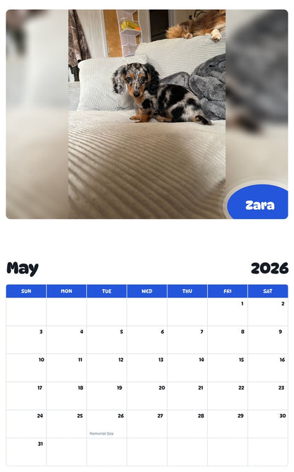2026 - 2027 Zara - Pawidols Pet Calendar