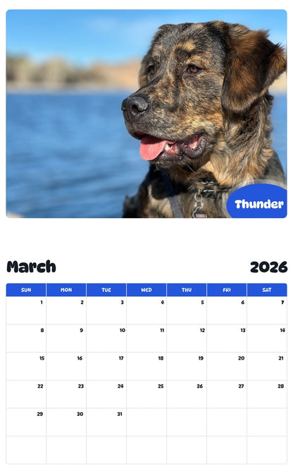 November 2025 - October 2026 Thunder - Pawidols Pet Calendar