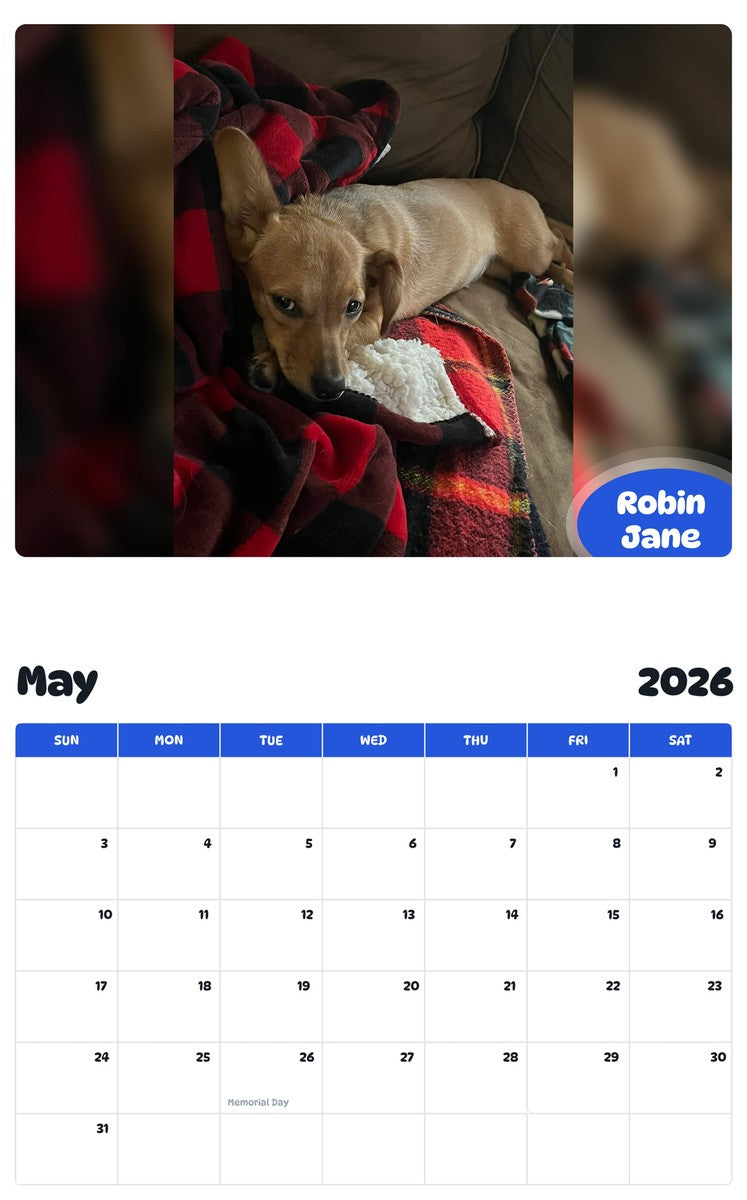 2026 - 2027 Robin Jane - Pawidols Pet Calendar