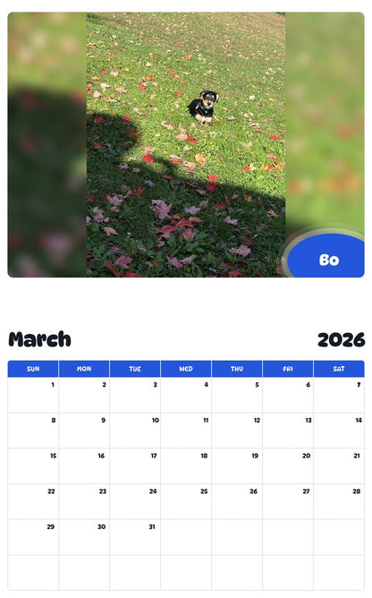 November 2025 - October 2026 Bo - Pawidols Pet Calendar