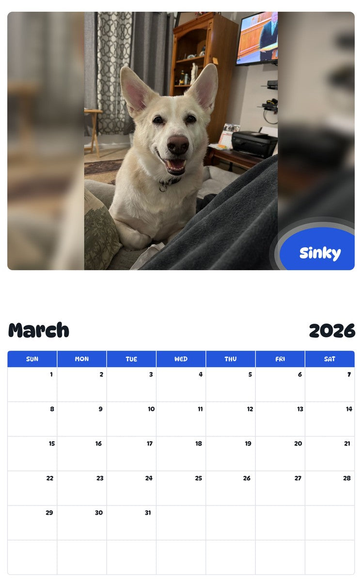 November 2025 - October 2026 Sinky - Pawidols Pet Calendar