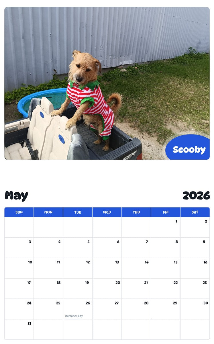 2026 - 2027 Scooby - Pawidols Pet Calendar