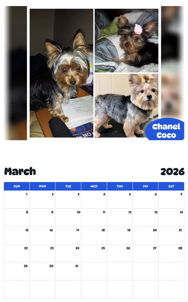 November 2025 - October 2026 Chanel Coco - Pawidols Pet Calendar