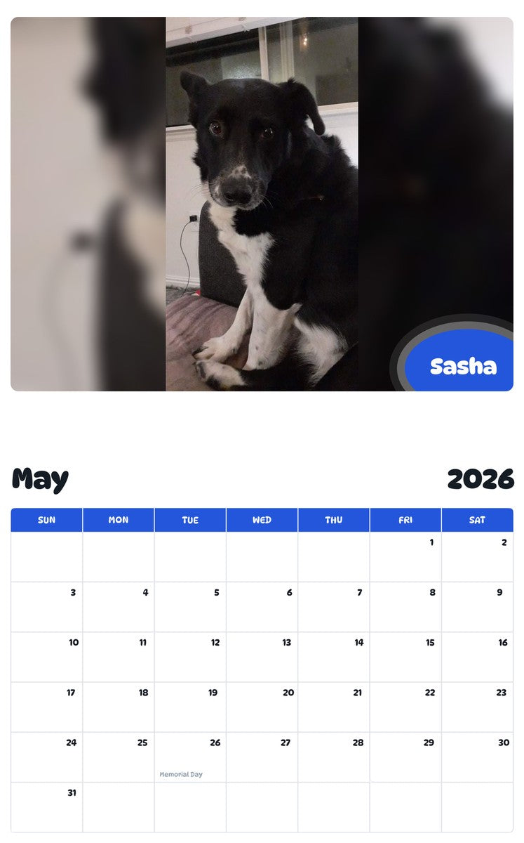 2026 - 2027 Sasha - Pawidols Pet Calendar
