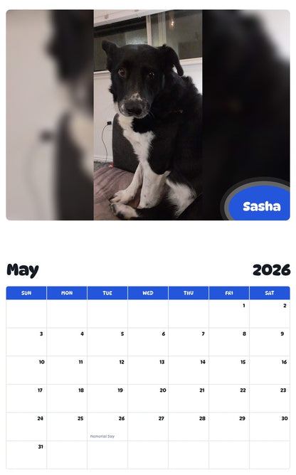 2026 - 2027 Sasha - Pawidols Pet Calendar