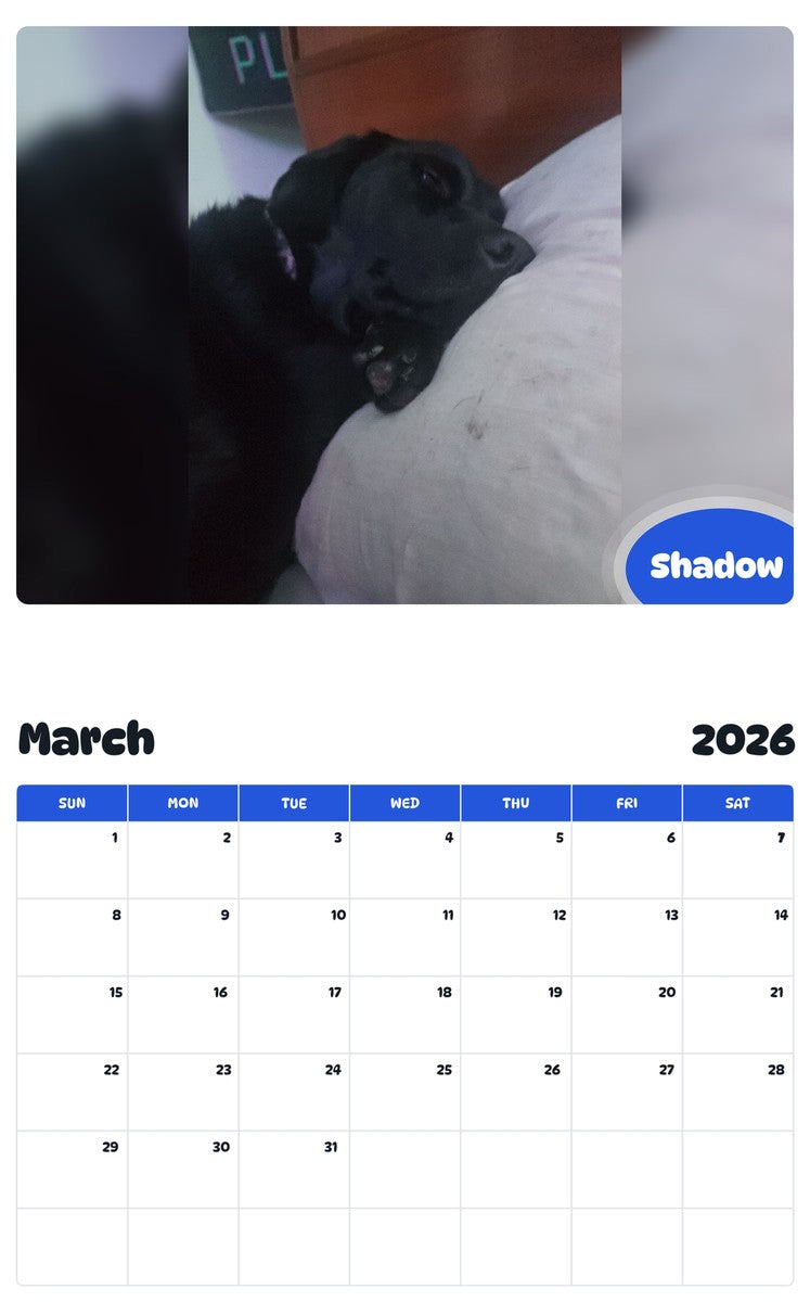 November 2025 - October 2026 Shadow - Pawidols Pet Calendar