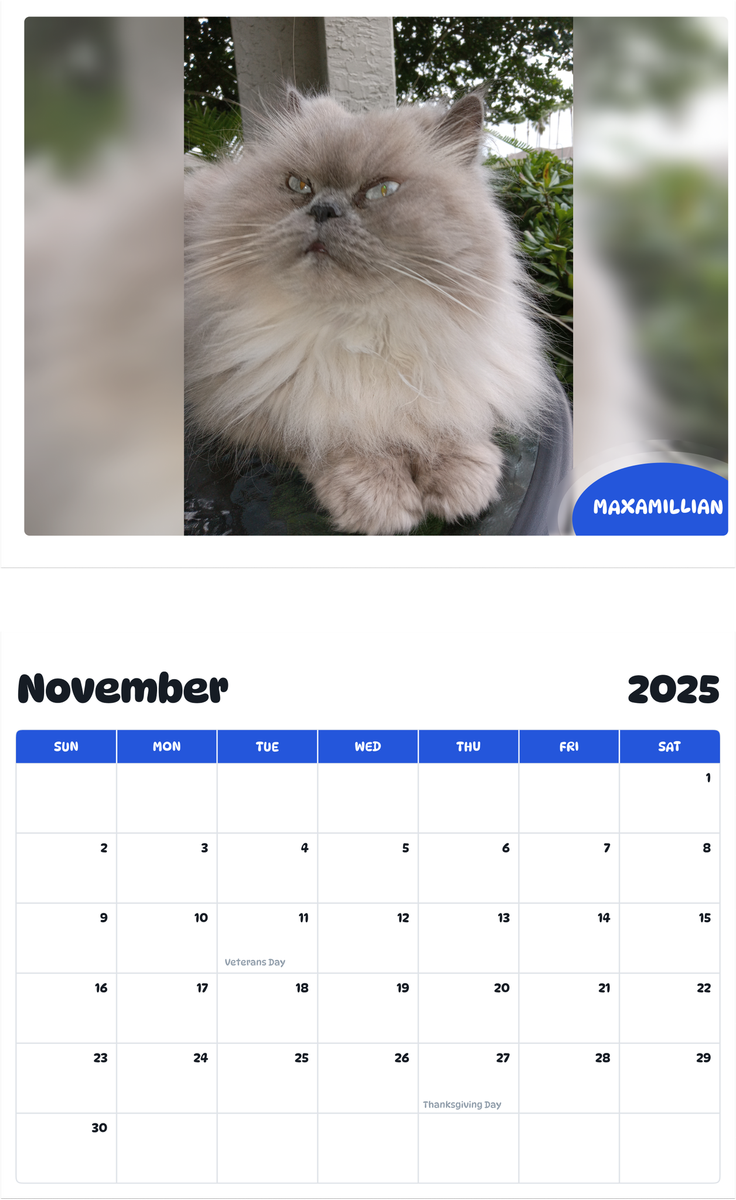 July 2025 - June 2026 Maxamillian - Pawidols Pet Calendar