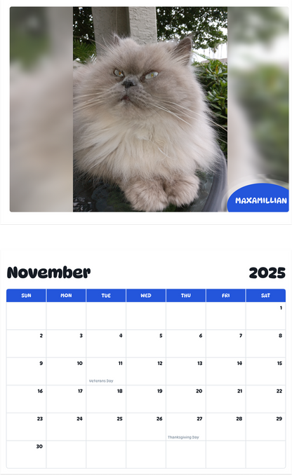 July 2025 - June 2026 Maxamillian - Pawidols Pet Calendar