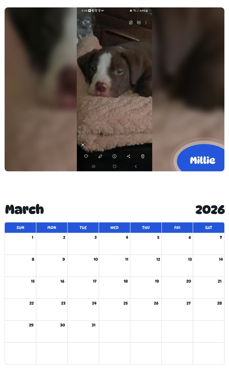 November 2025 - October 2026 Millie - Pawidols Pet Calendar