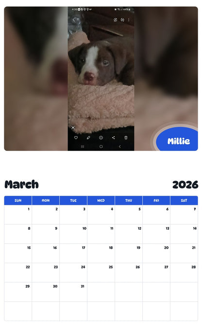 November 2025 - October 2026 Millie - Pawidols Pet Calendar