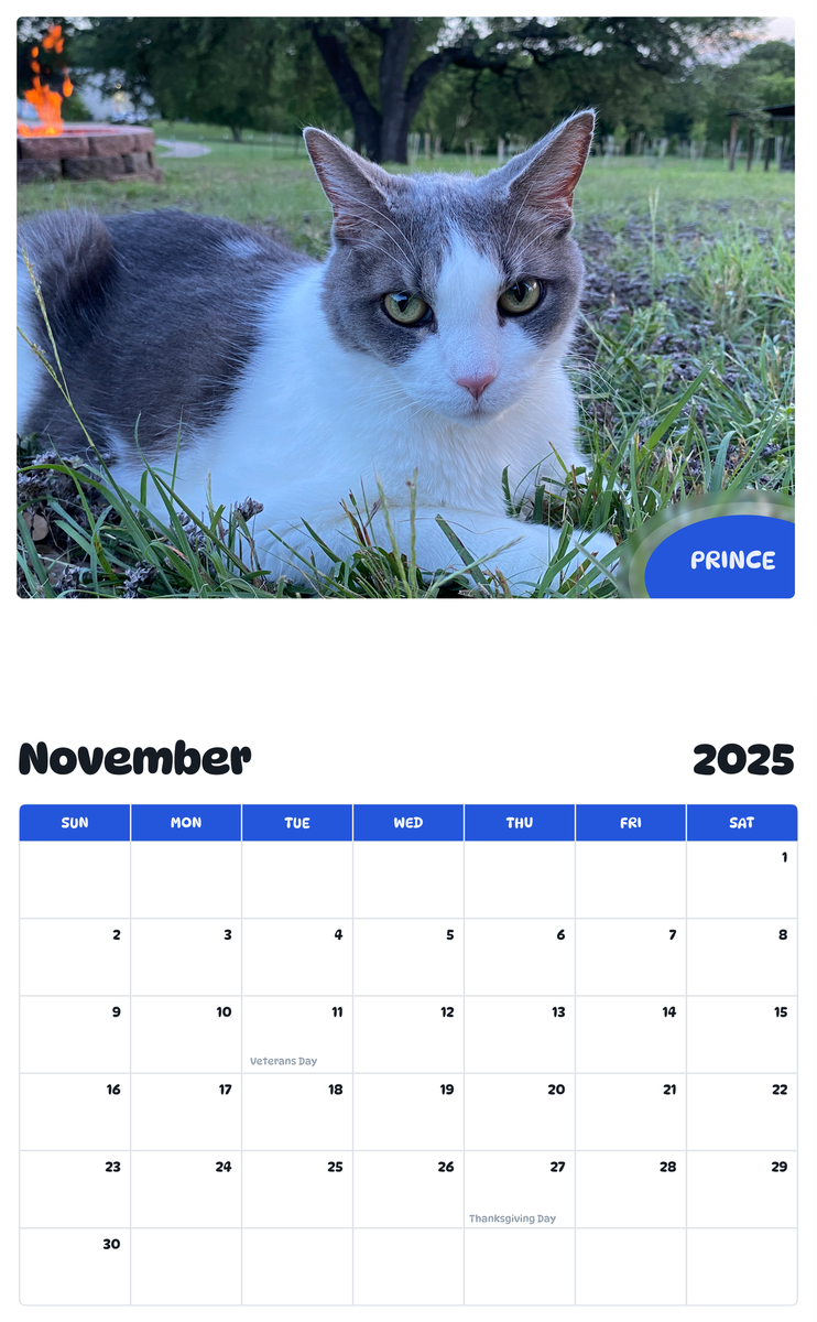 July 2025 - June 2026 Prince - Pawidols Pet Calendar