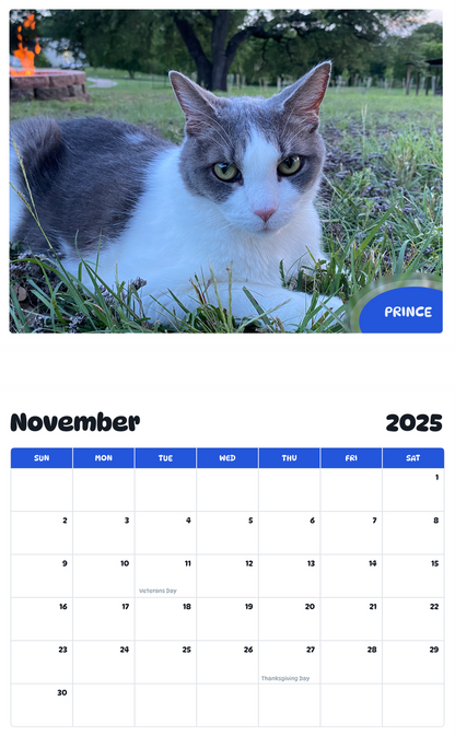 July 2025 - June 2026 Prince - Pawidols Pet Calendar