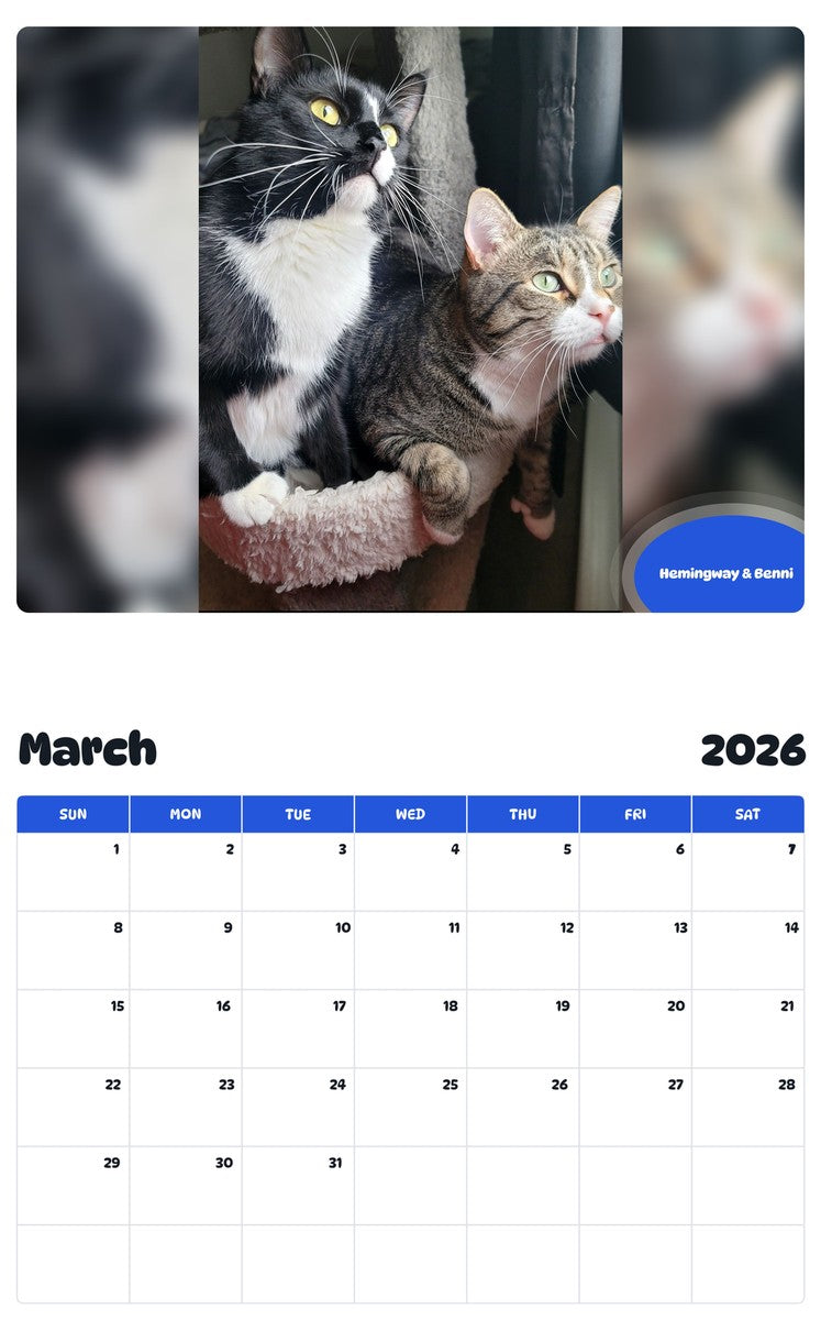 November 2025 - October 2026 Hemingway & Benni - Pawidols Pet Calendar