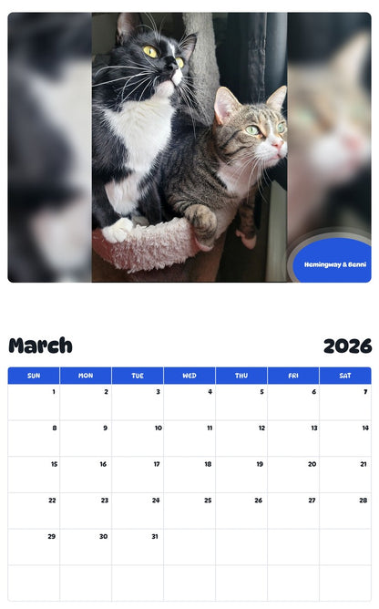 November 2025 - October 2026 Hemingway & Benni - Pawidols Pet Calendar
