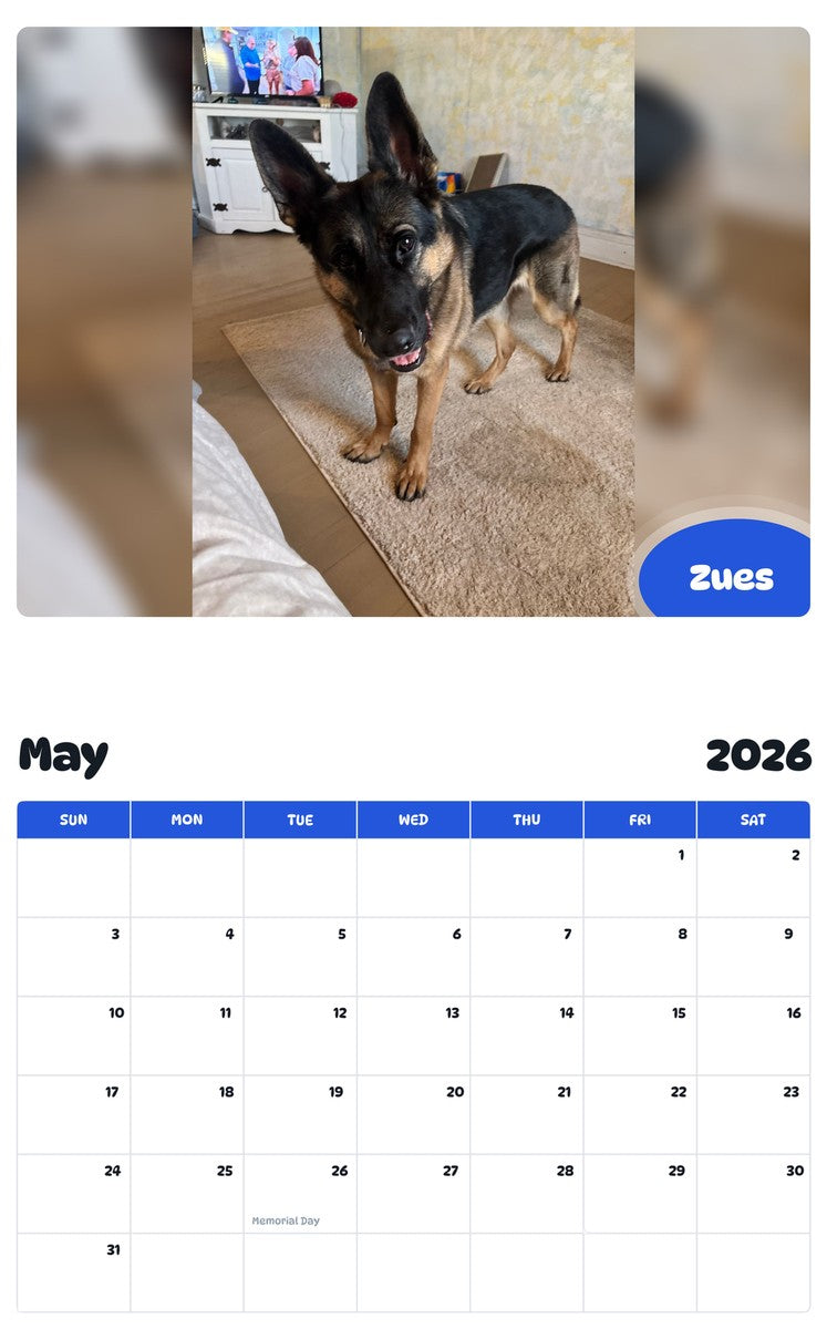 2026 - 2027 Zues - Pawidols Pet Calendar