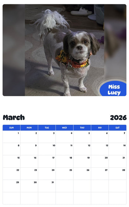 November 2025 - October 2026 Miss Lucy - Pawidols Pet Calendar