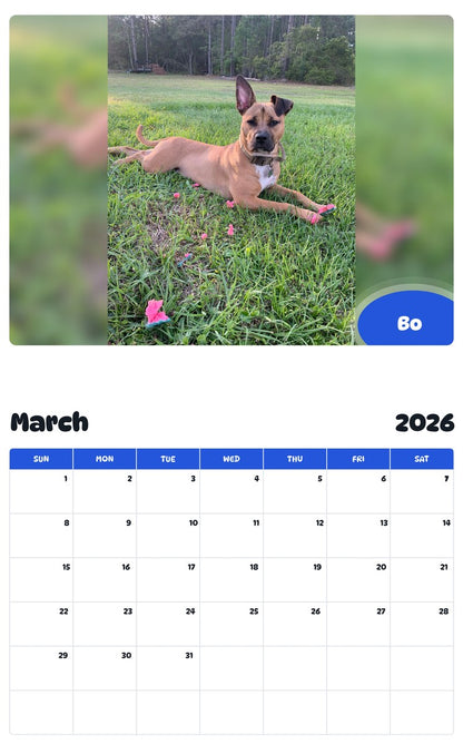 November 2025 - October 2026 Bo - Pawidols Pet Calendar