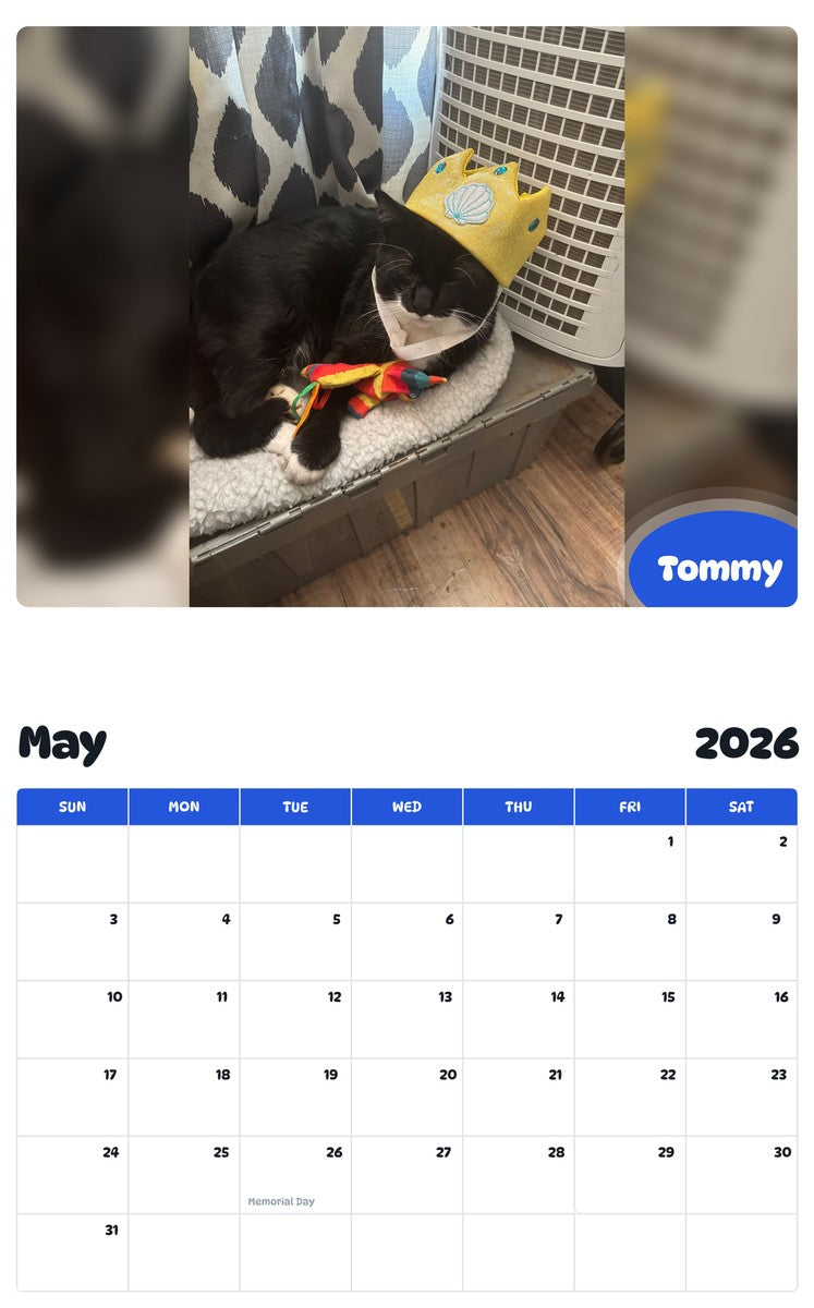 2026 - 2027 Tommy - Pawidols Pet Calendar