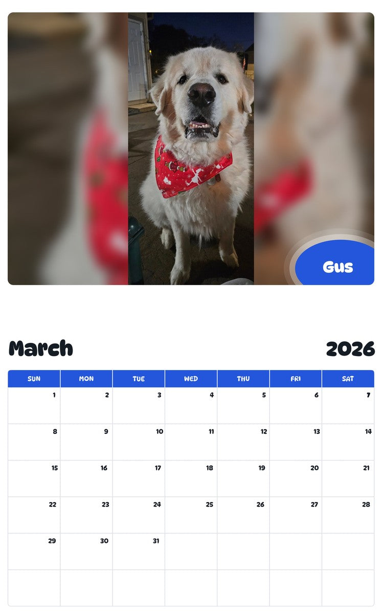 November 2025 - October 2026 Gus - Pawidols Pet Calendar