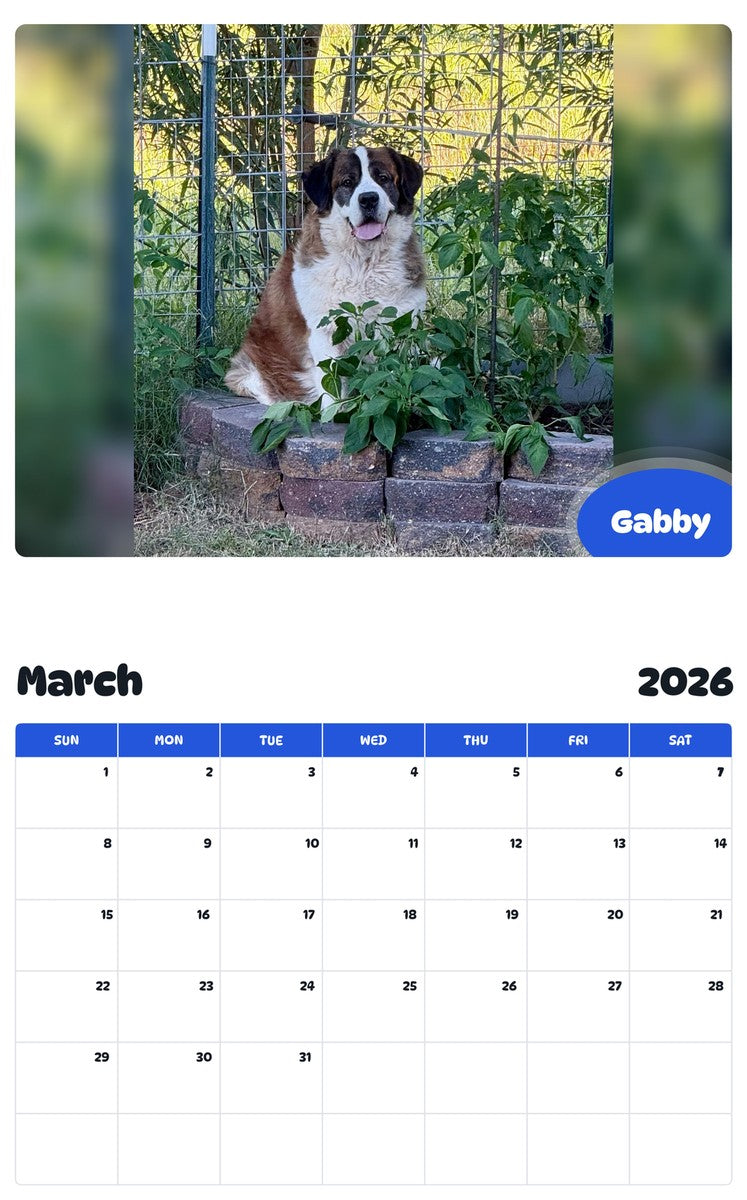 November 2025 - October 2026 Gabby - Pawidols Pet Calendar