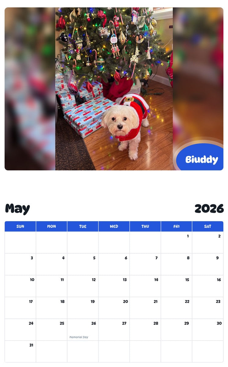 2026 - 2027 Biuddy - Pawidols Pet Calendar