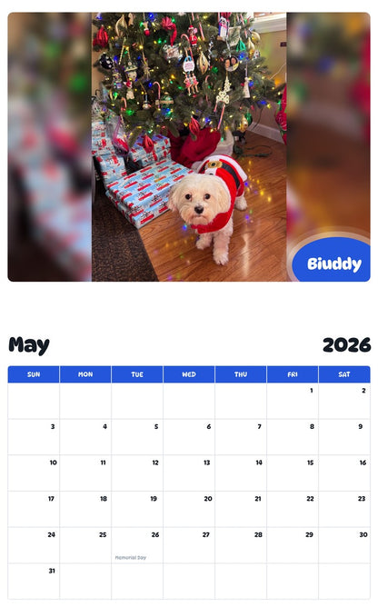 2026 - 2027 Biuddy - Pawidols Pet Calendar