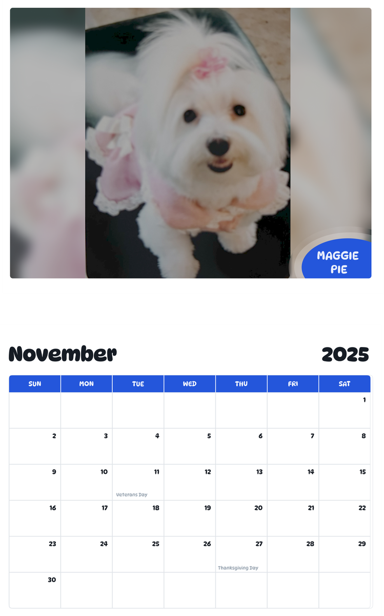 July 2025 - June 2026 Maggie Pie - Pawidols Pet Calendar