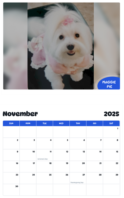 July 2025 - June 2026 Maggie Pie - Pawidols Pet Calendar