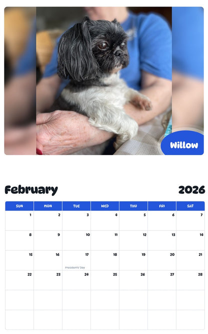 November 2025 - October 2026 Willow - Pawidols Pet Calendar