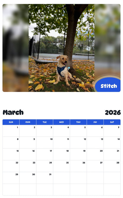 November 2025 - October 2026 Stitch - Pawidols Pet Calendar
