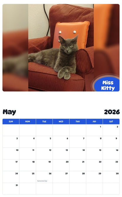 2026 - 2027 Miss Kitty - Pawidols Pet Calendar