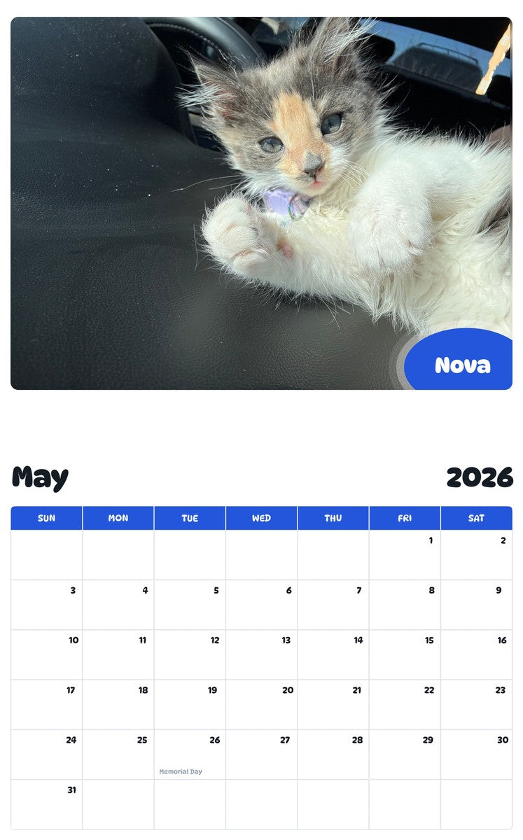 2026 - 2027 Nova - Pawidols Pet Calendar